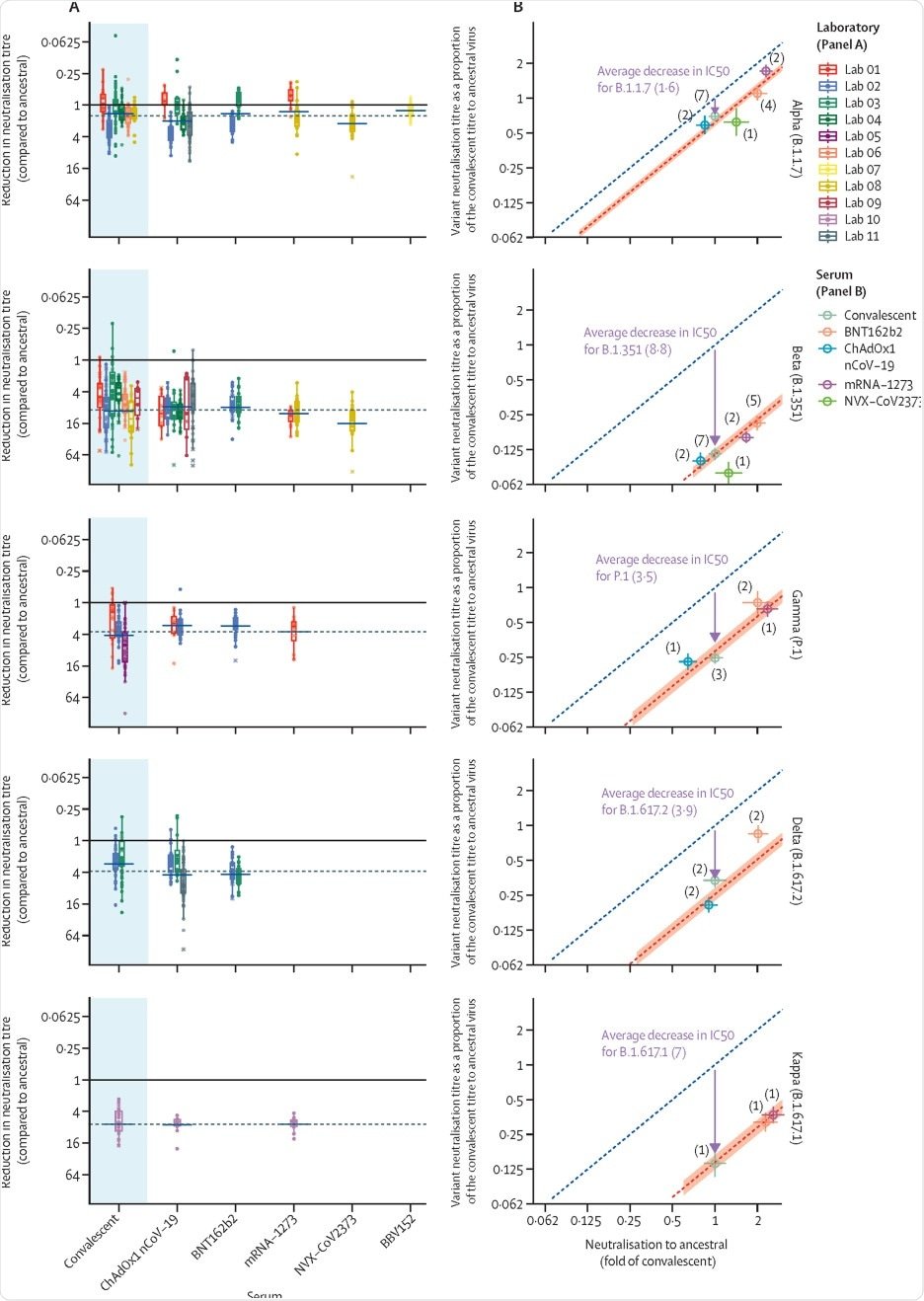 In-vitro neutralisation of SARS-CoV-2 variants of concern (A) The change in neutralisation titre between the ancestral virus and different SARS-CoV-2 variants for either convalescent individuals (left) or those immunised with different vaccines is shown. Individual colours reflect different studies or laboratories (appendix pp 15–16). Solid dots indicate where titres were measurable for both ancestral and variant neutralisation. Crosses indicate where one titre fell below the limit of detection for that assay. Different studies estimate different changes in neutralisation titre even for the same vaccine or variant combination. The dashed horizonal line indicates the censored mean decrease in titre for a given variant (across all vaccine and convalescent samples), and blue horizontal bars indicate the censored mean titre for a given vaccine or variant combination. The boxes extend between the first and third quartiles, and the whiskers extend to 1·5 times the IQR. (B) The correlation between the mean neutralisation titre against the ancestral virus (x-axis) and mean neutralisation titre against the variants of concern (y-axis) is shown. The predicted line for a 1:1 association is indicated (dashed blue line). The observed mean decrease in neutralisation titre across all vaccines and convalescent individuals is indicated by an arrow (with the length of the arrow representing the decrease in neutralisation titre) and the predicted variant neutralisation is indicated by a dashed red line (shading indicates the 95% CI). Tints indicate the mean neutralisation for a given vaccine or variant combination, averaging across available studies (number of studies indicated).