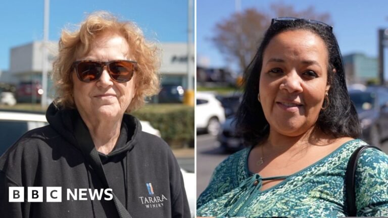 American car buyers against Trump’s auto tariff deadline