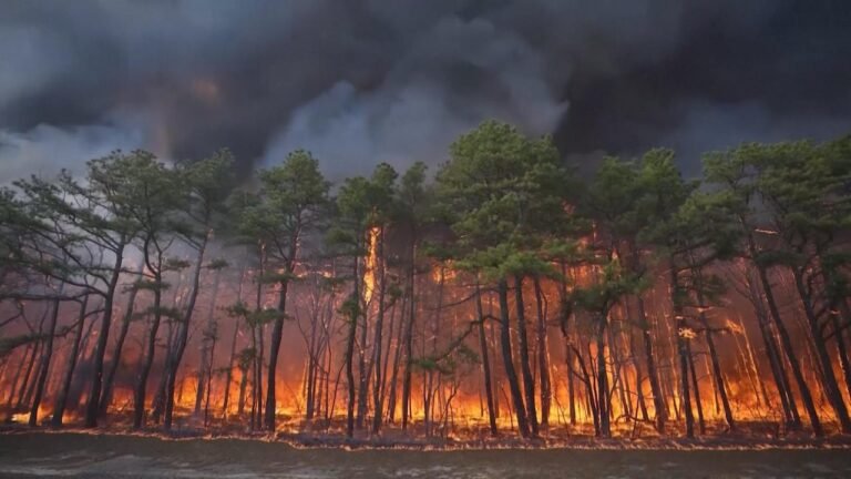 New Jersey wildfire could become state’s largest in 2 decades