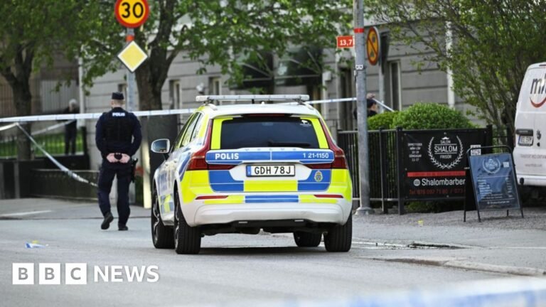 Three people killed in city of Uppsala