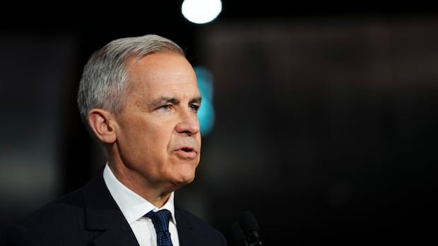 Carney condemns Israeli blockade on food to Gaza Carney condemns Israeli blockade on food to Gaza