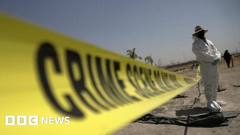 Mexican mayor arrested over alleged links to cartel training camp Mexican mayor arrested over alleged links to cartel training camp