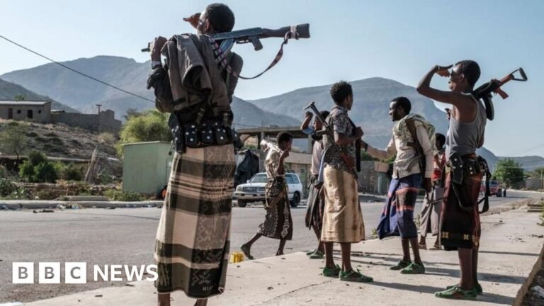 TPLF says Ethiopia ban threatens Tigray peace deal TPLF says Ethiopia ban threatens Tigray peace deal