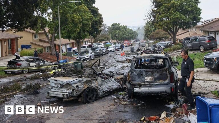 Sum 41 music agent killed in San Diego plane crash