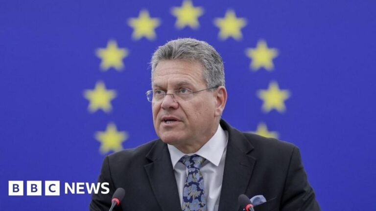 EU calls for US trade deal based on ‘respect’ after Trump’s tariff threats