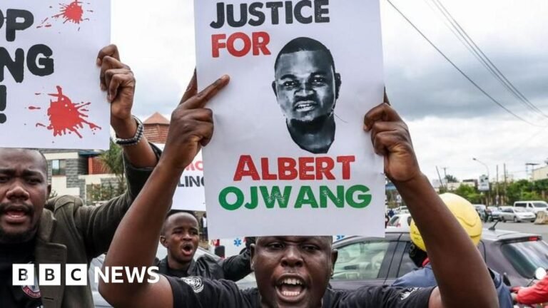 Kenyan police officers charged with blogger