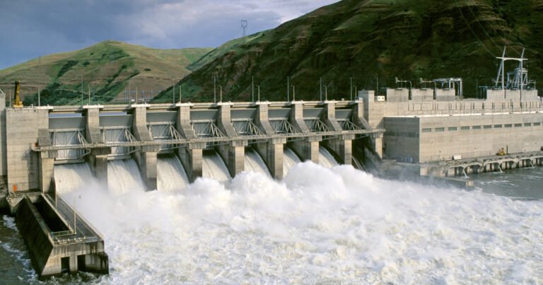 Trump Cancels Deal With Tribes to Restore Columbia River Salmon — ProPublica