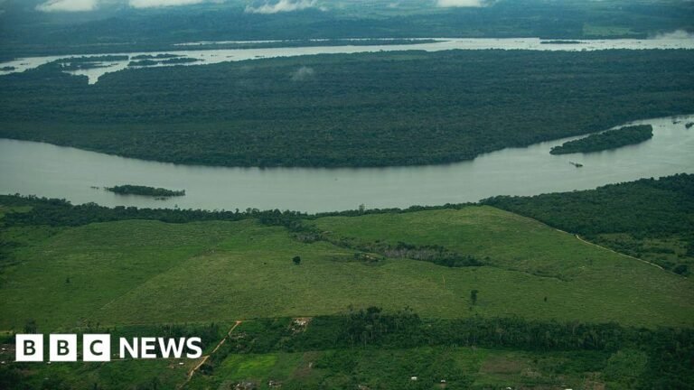 New Brazil development law risks Amazon deforestation