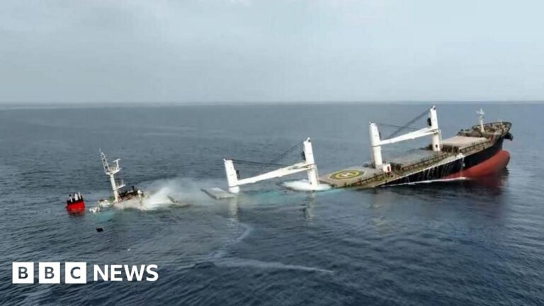 Yemen Houthis sink second Red Sea cargo ship in a week