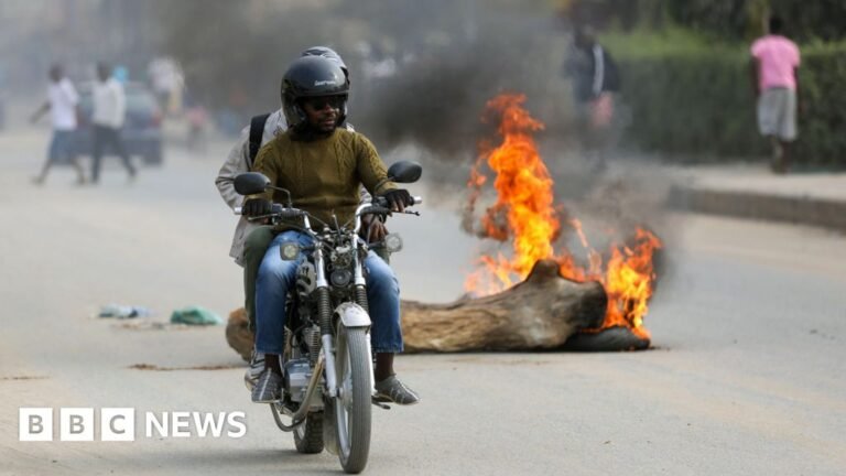 Hundreds of arrests during deadly fuel-price-rise demonstrations