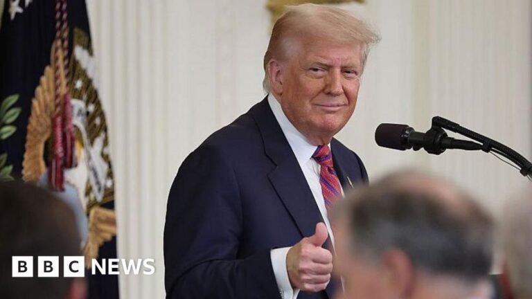 Trump admin asks court to release Jeffrey Epstein grand jury docs