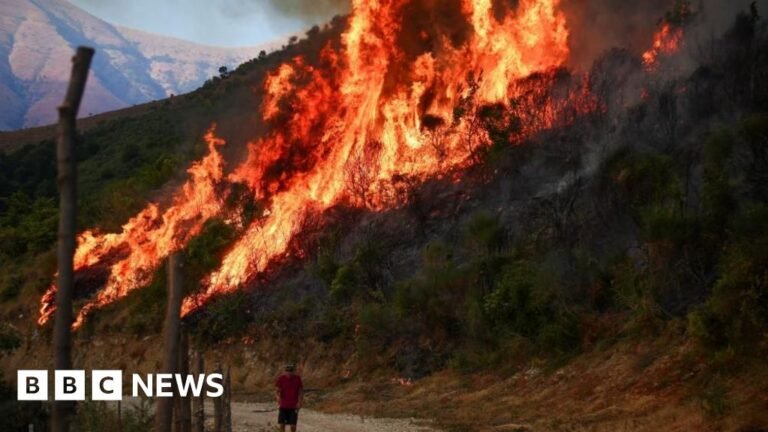 Wildfires rage across southern Europe as temperatures pass 40C