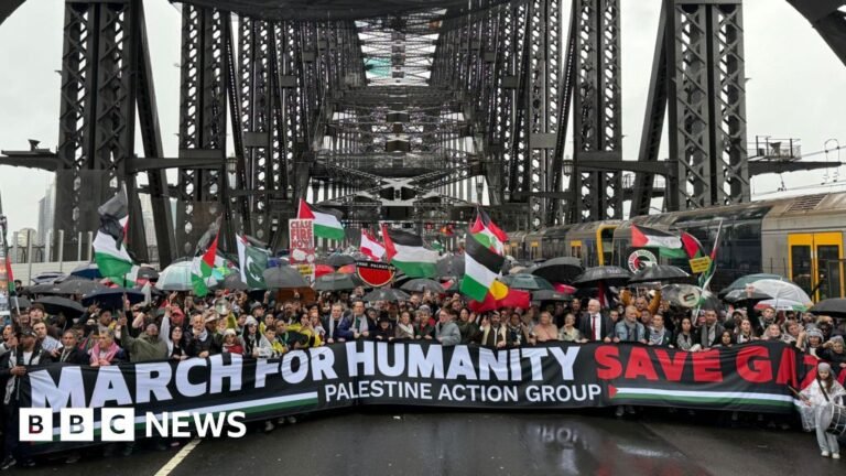 Tens of thousands turn out for pro-Palestine march