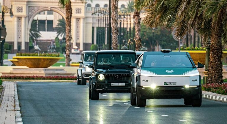 Black points in the UAE explained, how to remove them from your driving licence