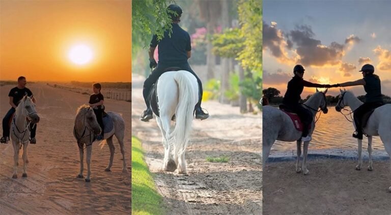 top horse riding experiences in Dubai