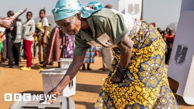 Eight arrested for alleged electoral fraud