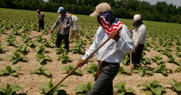 How to Make H-2A Farmworker Visa Program Safer, According to Experts — ProPublica