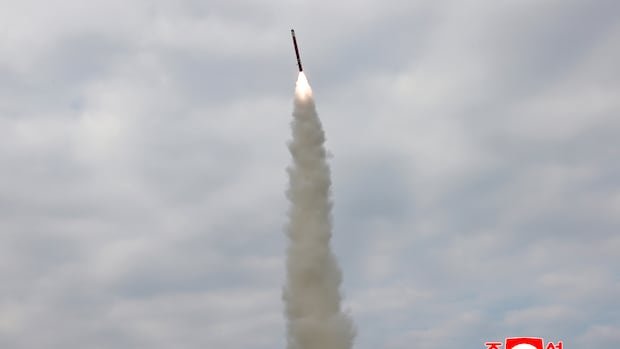 North Korea says it test-fired cruise-missiles hours ahead of Trump’s arrival in South Korea North Korea says it test-fired cruise-missiles hours ahead of Trump’s arrival in South Korea