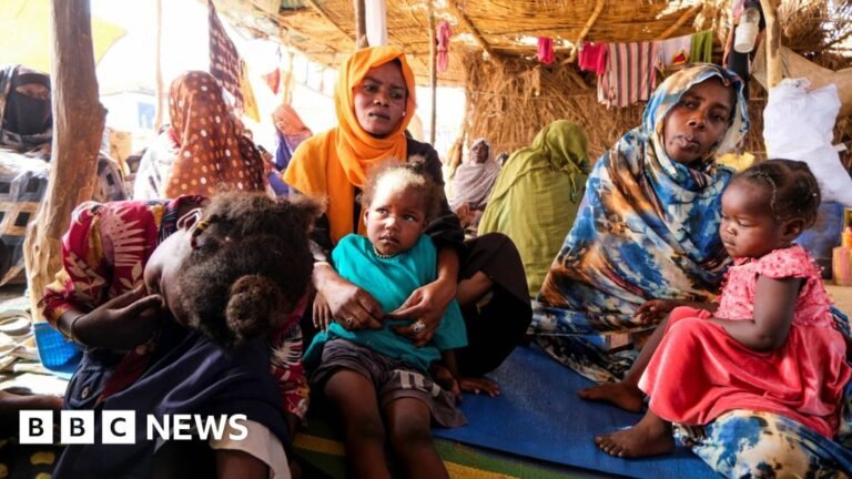 Rebel group claims capture of key city in Sudan Rebel group claims capture of key city in Sudan