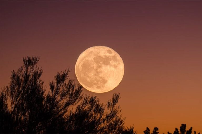 First supermoon of 2025 will light up UAE skies this month