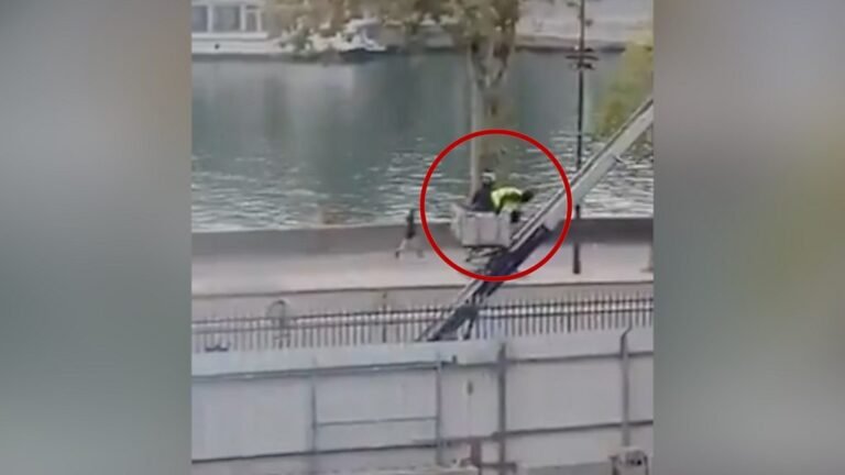 Video appears to show alleged thieves escaping