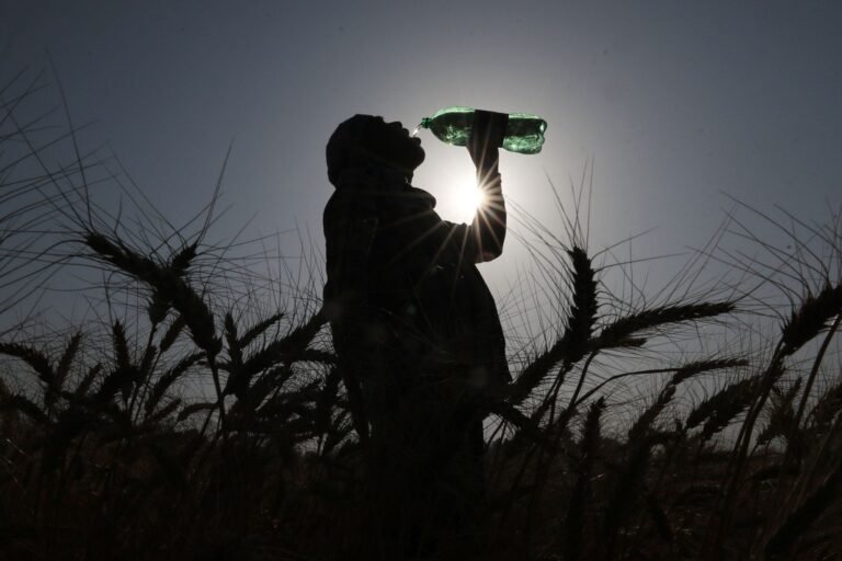 Trump’s Anti-Green Agenda Could Lead to 1.3 Million More Climate Deaths — ProPublica