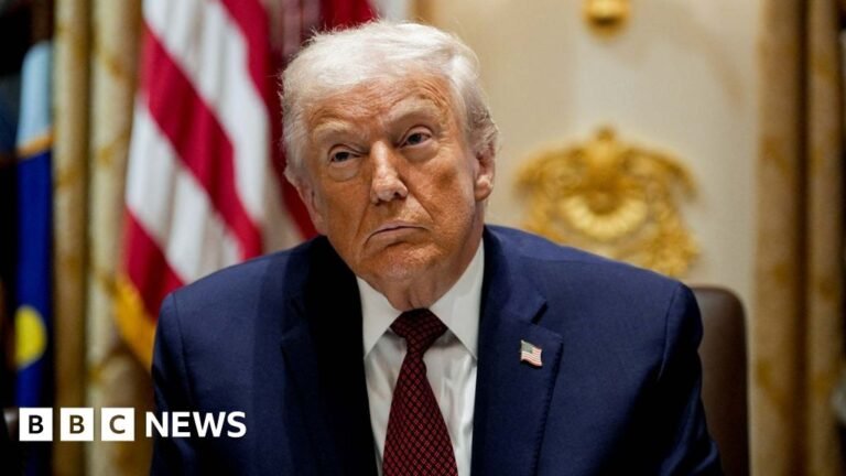 Trump criticises ‘decaying’ European countries and ‘weak’ leaders