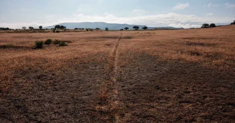 Political Clout Helps Ranchers Dodge Oversight of Public Lands Grazing — ProPublica