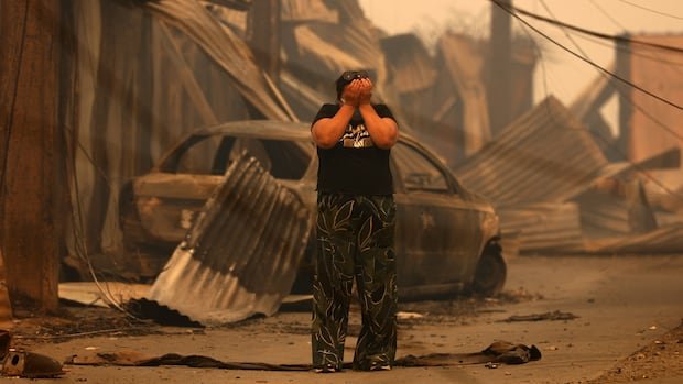 Wildfires in Chile kill at least 18: authorities Wildfires in Chile kill at least 18: authorities