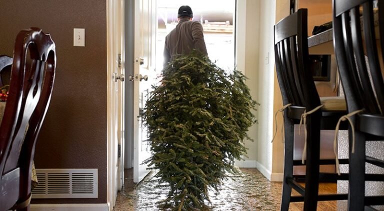 Christmas tree recycling in Dubai: What to do with your real tree after Christmas