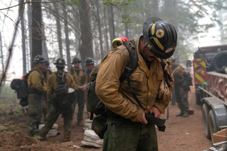 U.S. Forest Service Stops Issuing Firefighter Pants That Contain PFAS — ProPublica