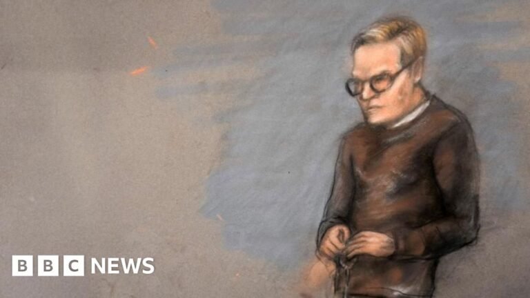 Son of Norway’s crown princess holds back tears giving evidence at rape trial