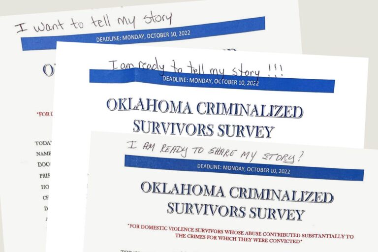Survey of Domestic Abuse Survivors Tells Stories Unsurfaced in Court — ProPublica