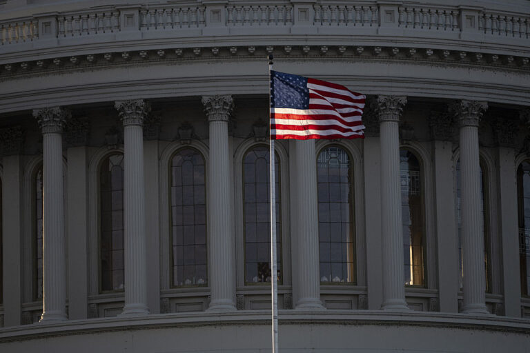 Birthright citizenship: an empirical analysis of supposedly originalist briefs