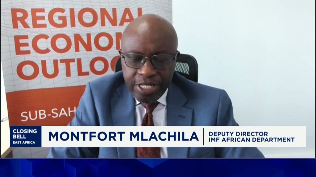 Sub-Saharan Africa growth reset to unlock the private sector’s potential – IMF – CNBC Africa
