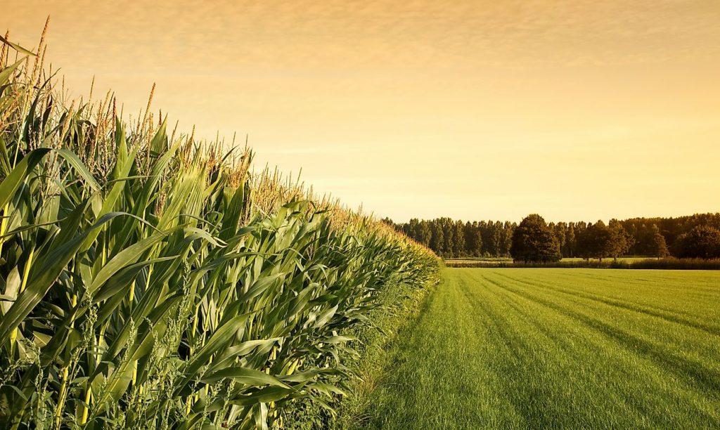 Which Countries Export the Most Food?