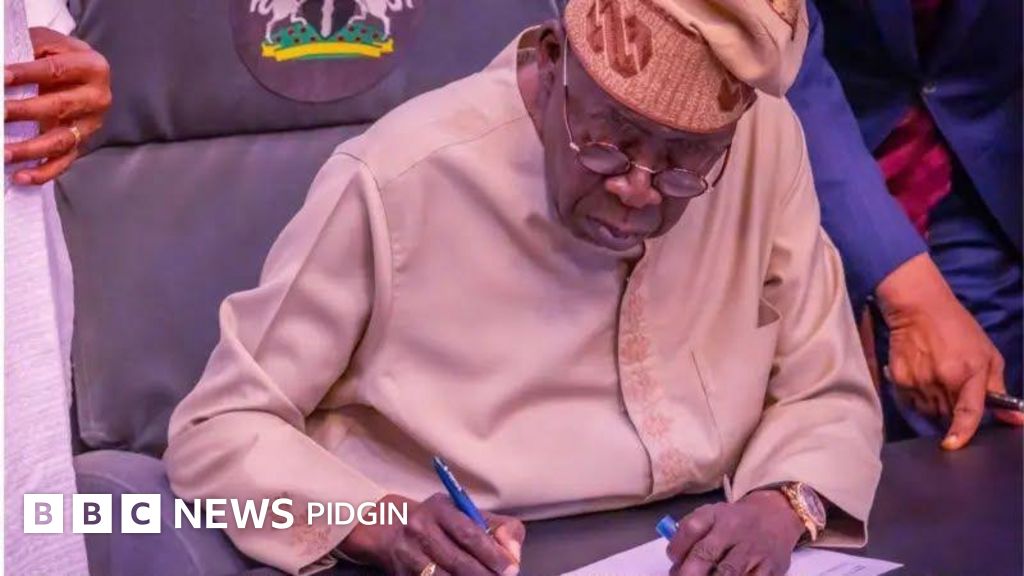 Electoral Act 2026: Party and primary and membership register - why Appeal Court cancel sections of di Electoral Act