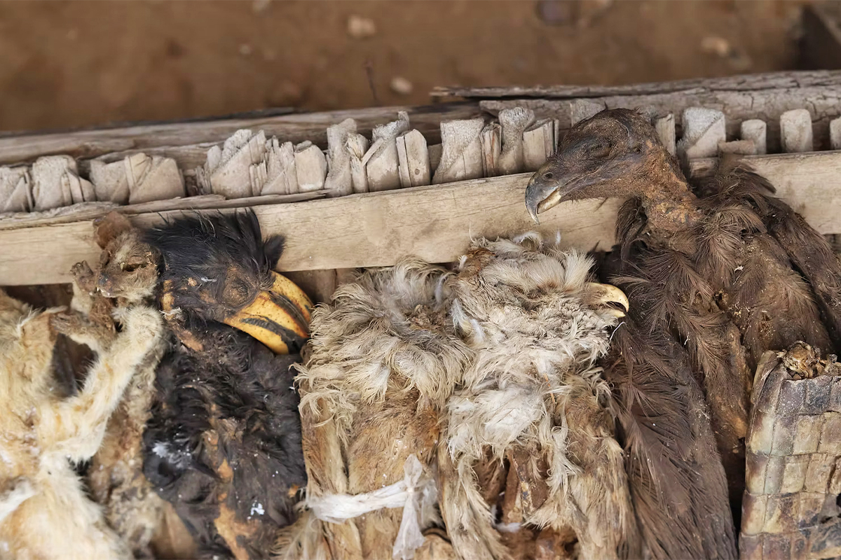 2-voodoo-market-in-Togo