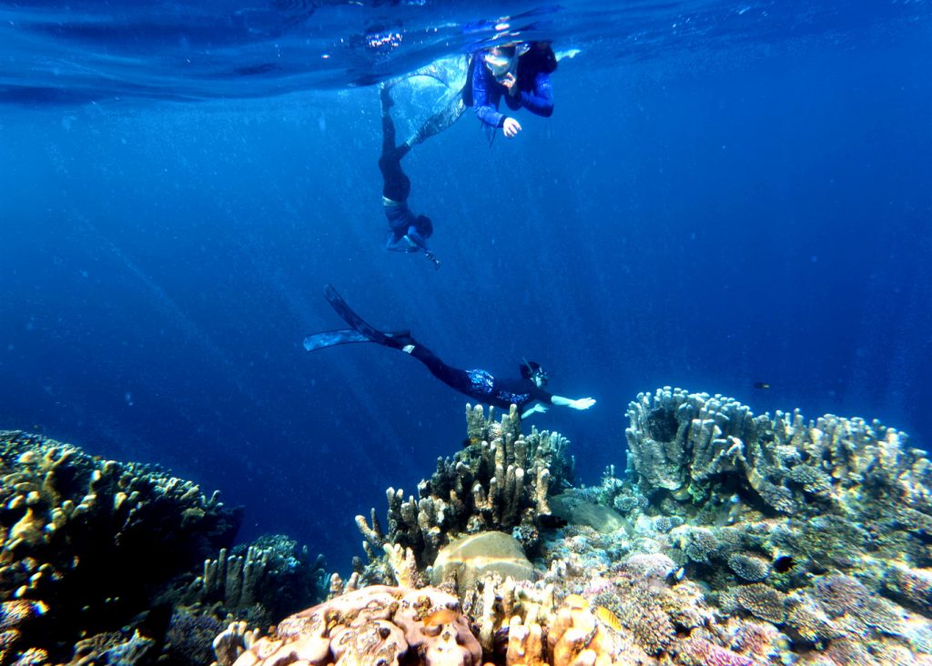 World’s oceans break June heat record – Asia & Pacific