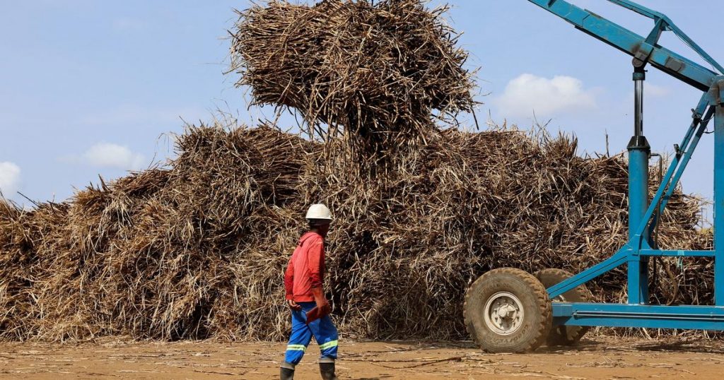 Billionaire maps next chapter for southern Africa sugar giant Billionaire maps next chapter for southern Africa sugar giant