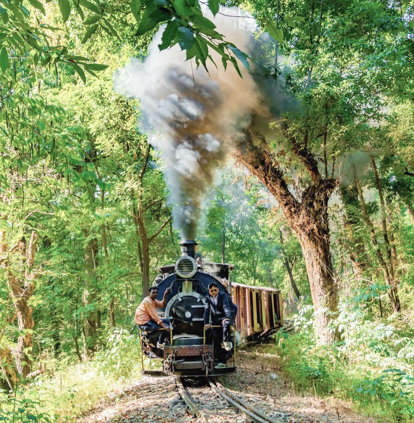 In A First, Bengal's Toy Train Reaches UNESCO Forum In South Korea