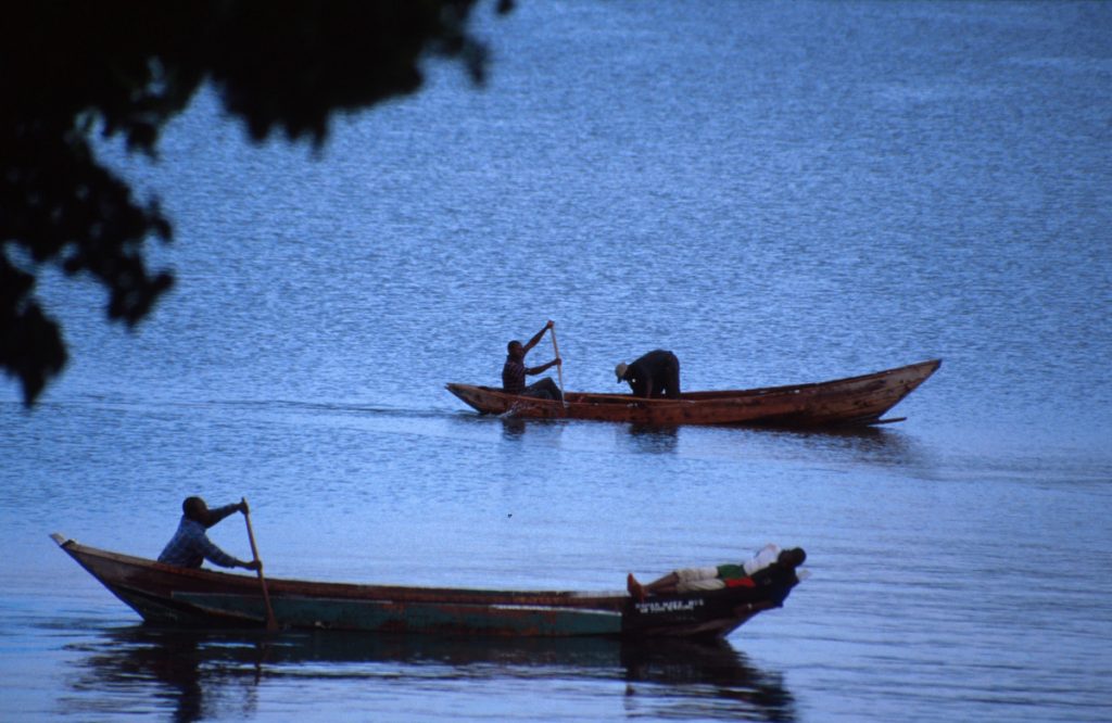 Greenpeace Africa statement on the proposed Dangote oil refinery in Lamu