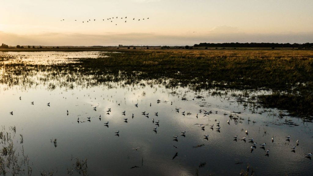 Hungary pumps millions of cubic metres of water into drought Hungary pumps millions of cubic metres of water into drought