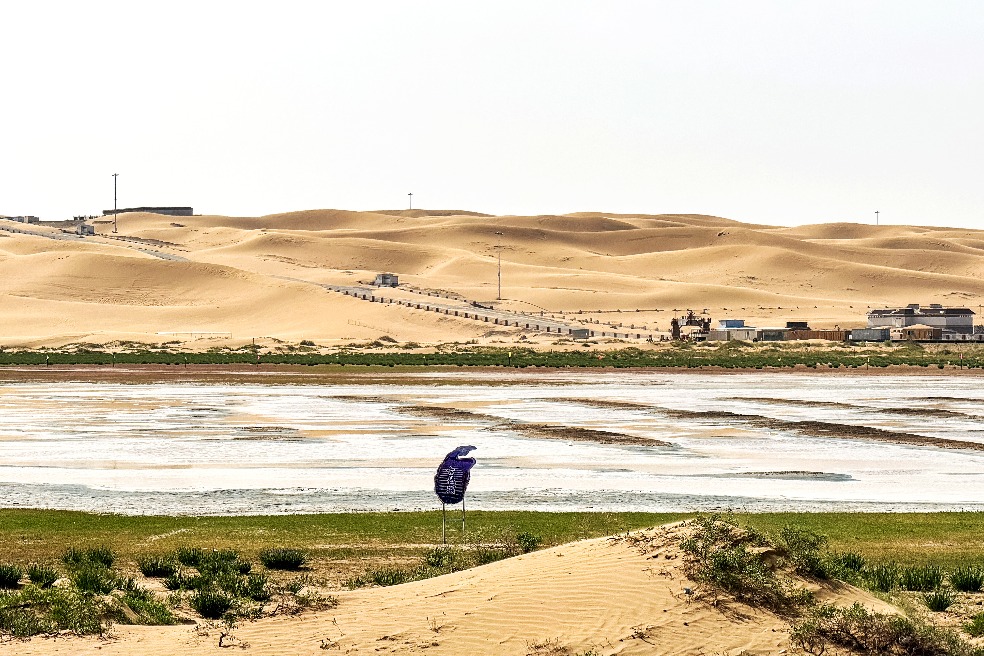 New study adds scientific support for regional desertification control, eco New study adds scientific support for regional desertification control, eco
