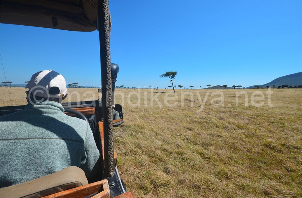Call for a halt to new construction in the Masai Mara – Activists campaign against luxury chains and easy permits