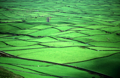 Green patchwork fields in the Azores