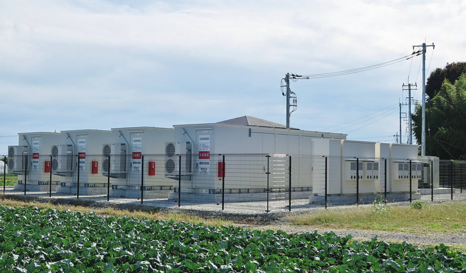 Lithium still dominates battery storage – but for how long? Lithium still dominates battery storage – but for how long?