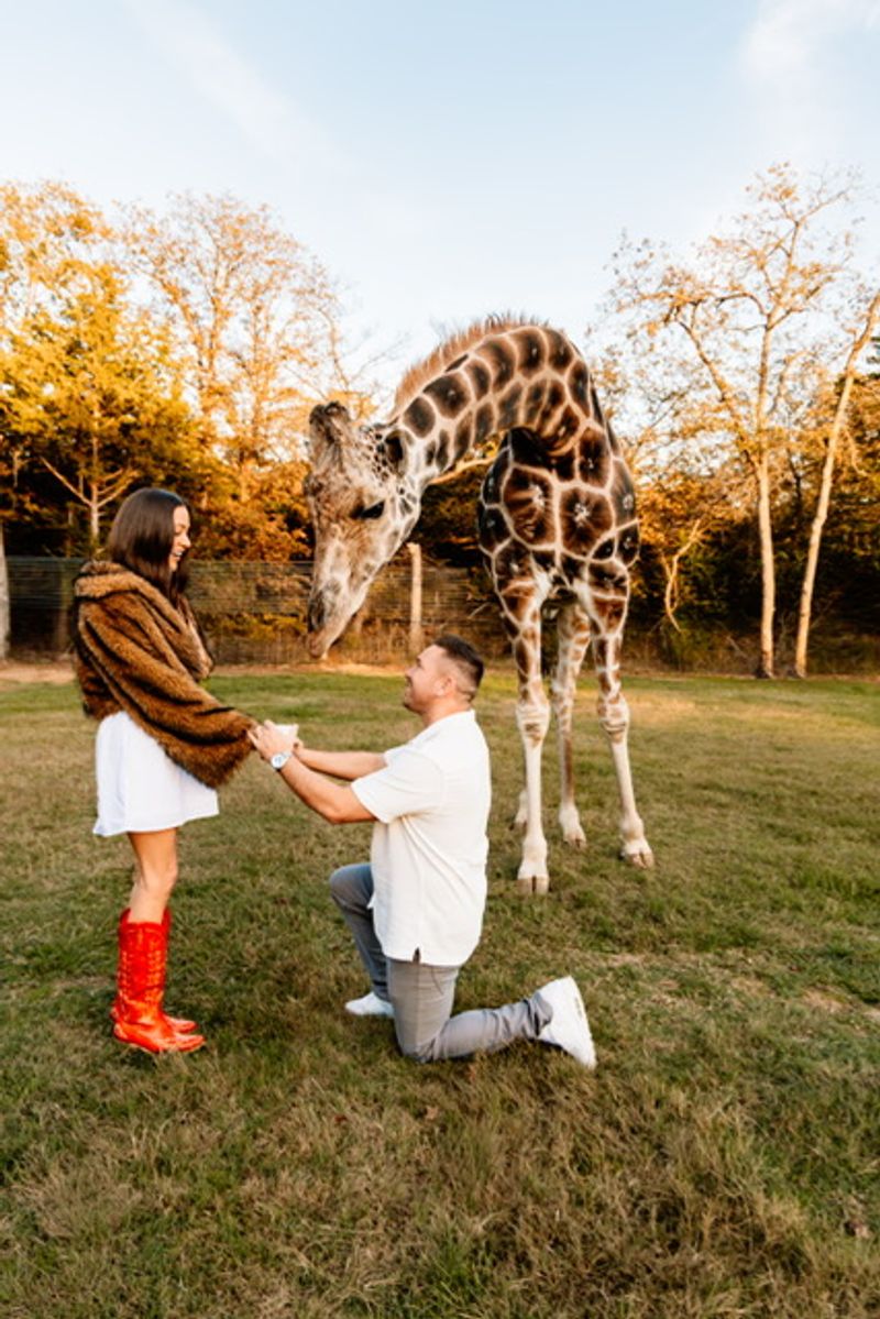 Luxury Suite Stays With a Safari Twist