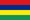 MRI flag