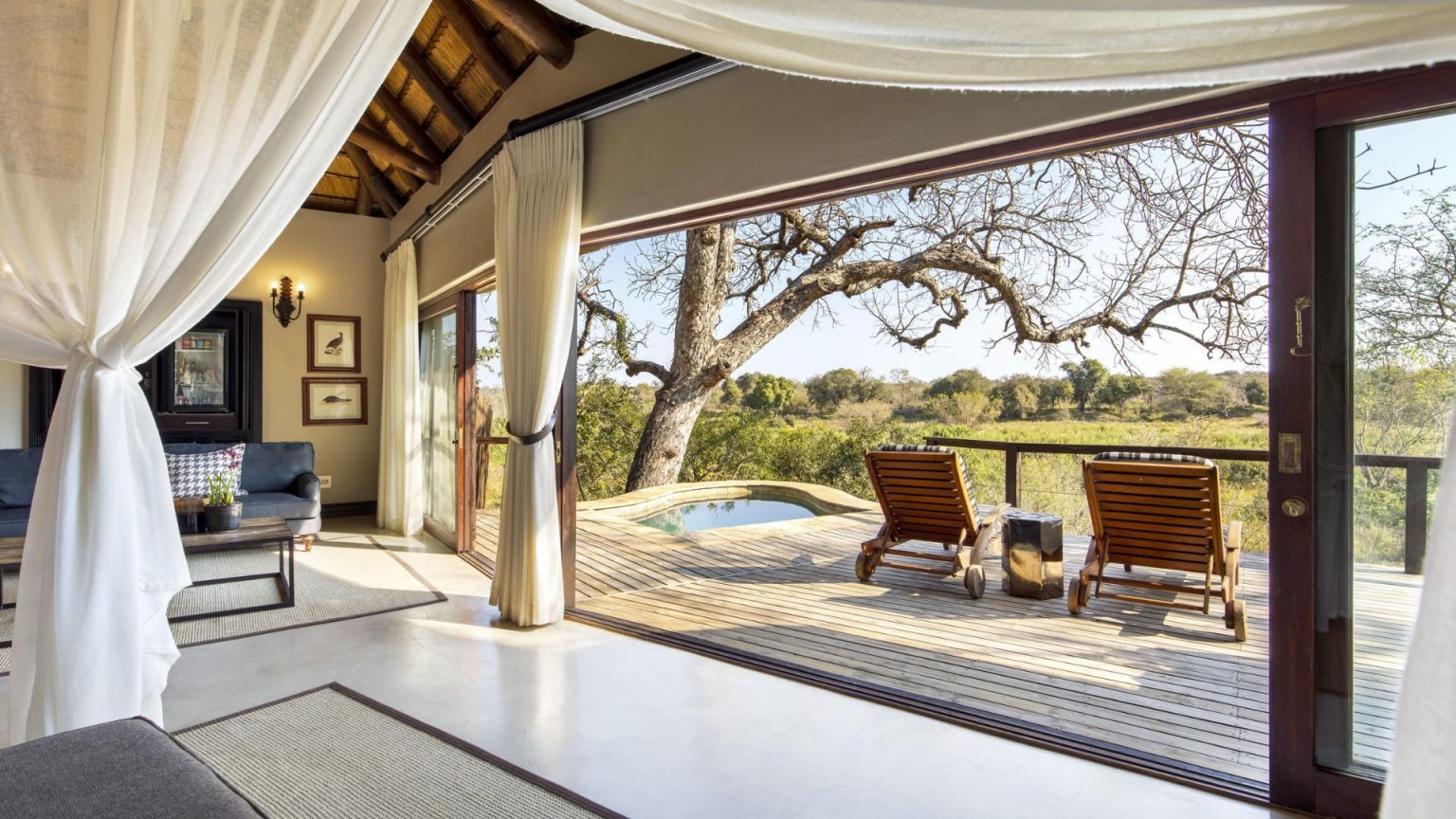 Living The Suite Life In Lion Country Living The Suite Life In Lion Country